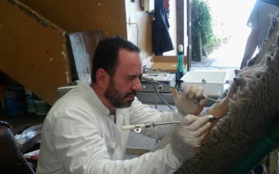 Profesionales se forman Técnicas de Reproducción Asistida para Mejorar la Productividad de los Pequeños Rumiantes