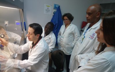Proyecto ARCAL impulsa producción de biofertilizantes para contribuir a la seguridad alimentaria