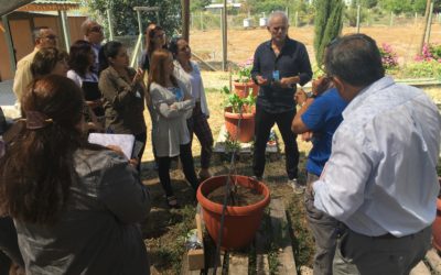 Trece países de América Latina se capacitaron en uso de isótopos estables para evaluar eficiencia en el manejo del agua