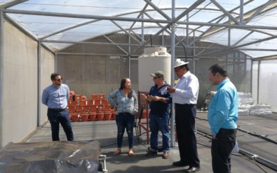Costa Rica recibió capacitación en técnicas isotópicas nucleares aplicadas a la agricultura en el marco del RLA/5/078