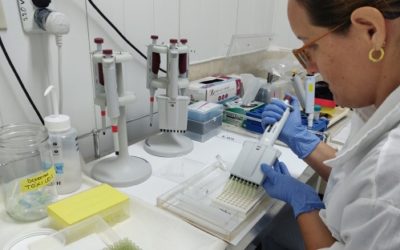 Cuba cuenta con el primer Laboratorio en la región con capacidad para detectar biotoxinas claves aplicando técnicas nucleares.