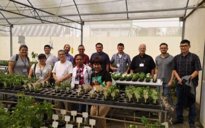Se realizó curso regional de capacitación sobre bioestimulantes y biofertilizantes bajo el proyecto RLA/5/078