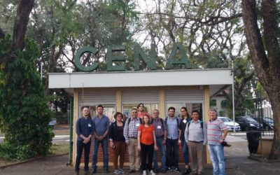 Se desarrolló en Brasil curso de entrenamiento para evaluar eficiencia de fertilizantes nitrogenados y agentes de crecimiento vegetal bajo el Proyecto RLA/5/078