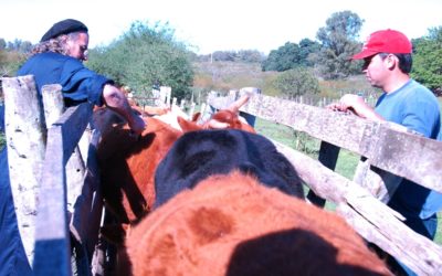 Cooperación regional para generar información y enfrentar desafíos emergentes en inocuidad alimentaria
