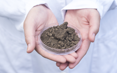 Países de la región trabajarán juntos para evaluar la contaminación de los suelos
