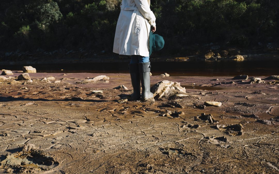 Evaluación de los efectos de los metales pesados y otros contaminantes en los suelos contaminados por actividades de origen antropogénico y natural.