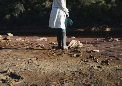 Evaluación de los efectos de los metales pesados y otros contaminantes en los suelos contaminados por actividades de origen antropogénico y natural.